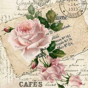 Meet your Posher, Paula